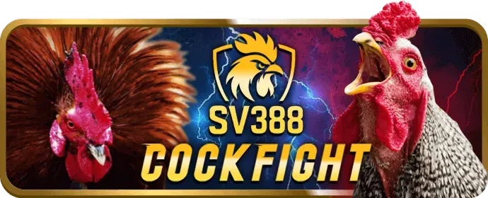 Bàn chơi Casino Trực Tiếp nohu 95 với người chia bài